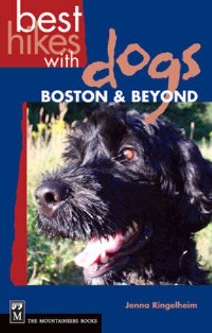 Best Hikes with Dogs: Boston & Beyond